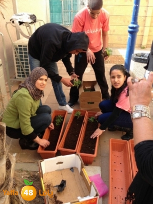 a3maltayebashamela (59).jpg